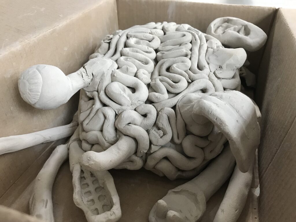 dried brain in the box