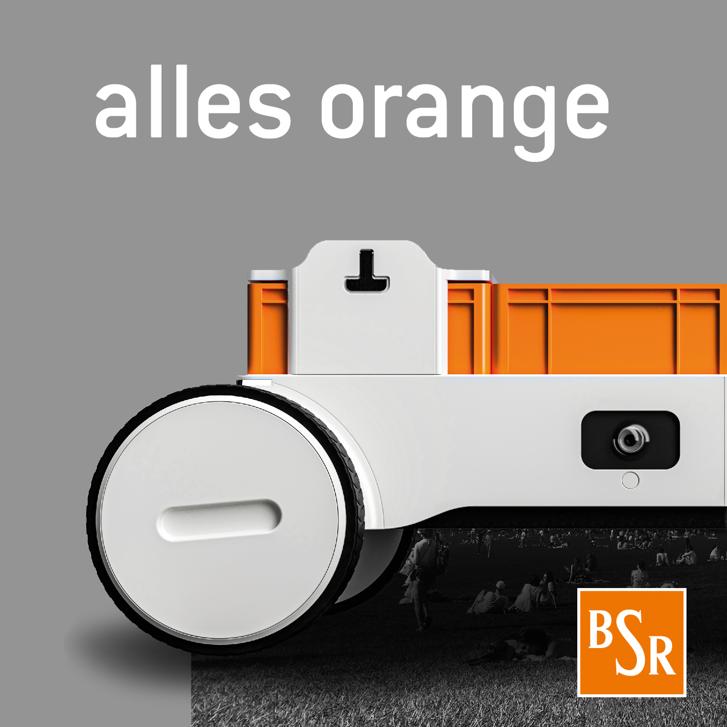 Alles Orange Nils Krueger